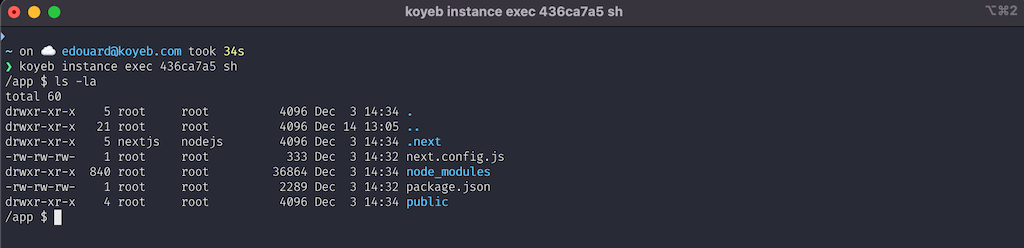 Feature - Execute commands and get shell access on Service instances