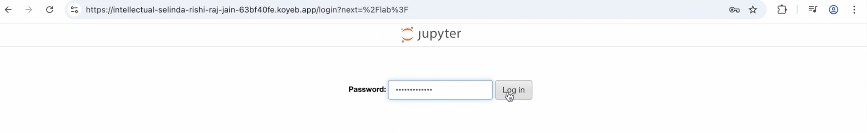 Add Unsloth password