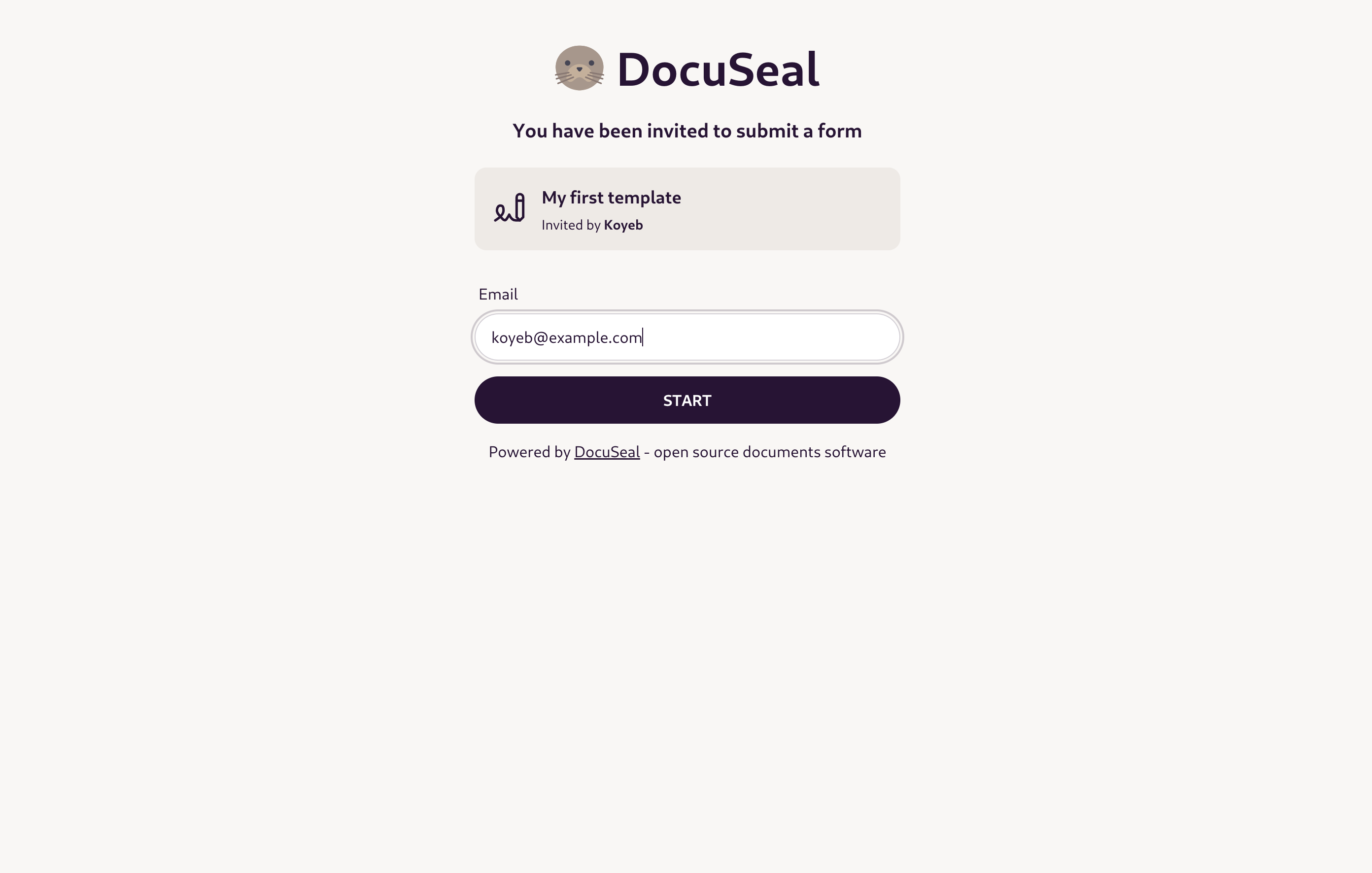 DocuSeal fill in authorized email