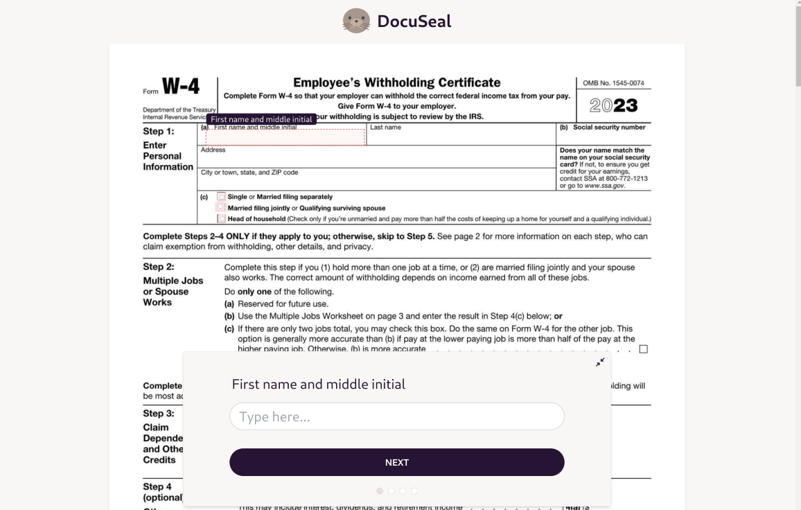 DocuSeal fill out the form
