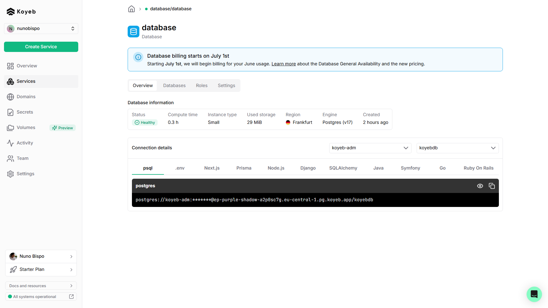 Postgres Database Connection Details